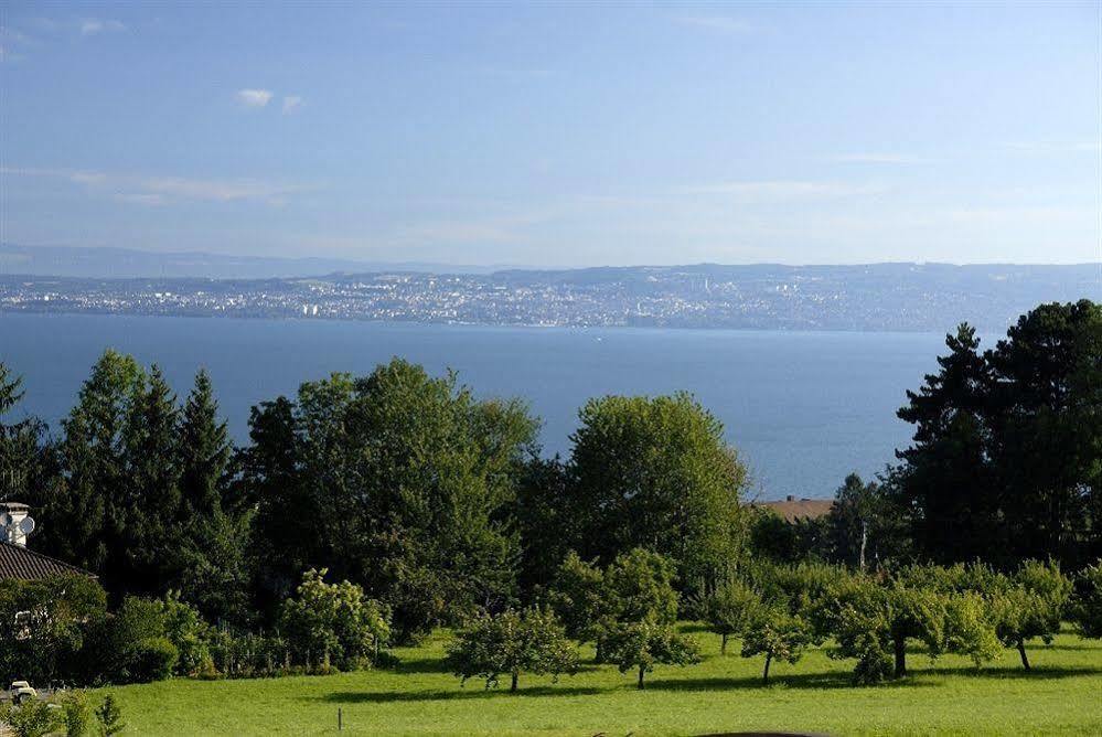 Résidence Odalys Les Chalets d'Evian Exterior foto